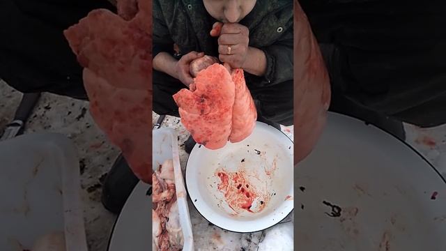 Легкие свиньи