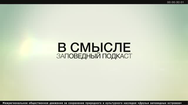 ЗАПОВЕДНЫЙ ПОДКАСТ В СМЫСЛЕ ВЫПУСК 3 (истории)