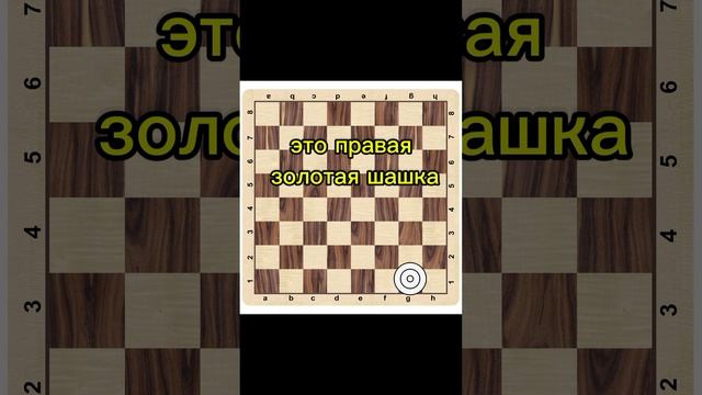 Где расположены золотые шашки.