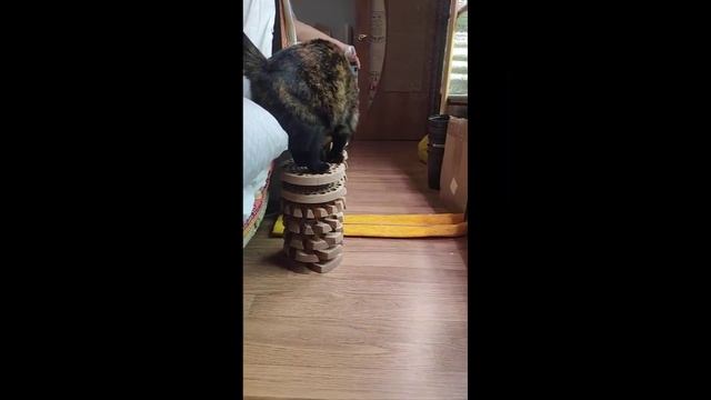 7ка А.Тюрина из Скального Ясеня. Бульбулятр