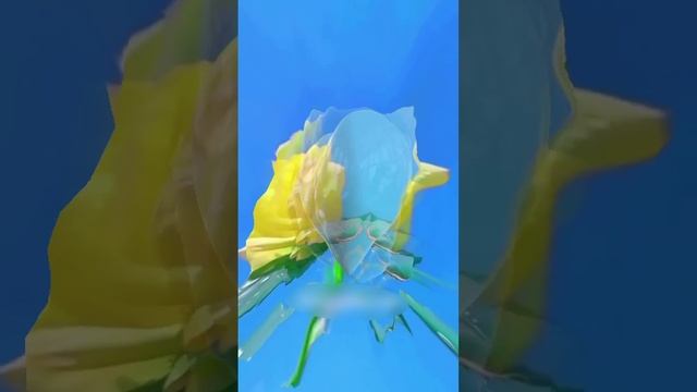 03-12-2024