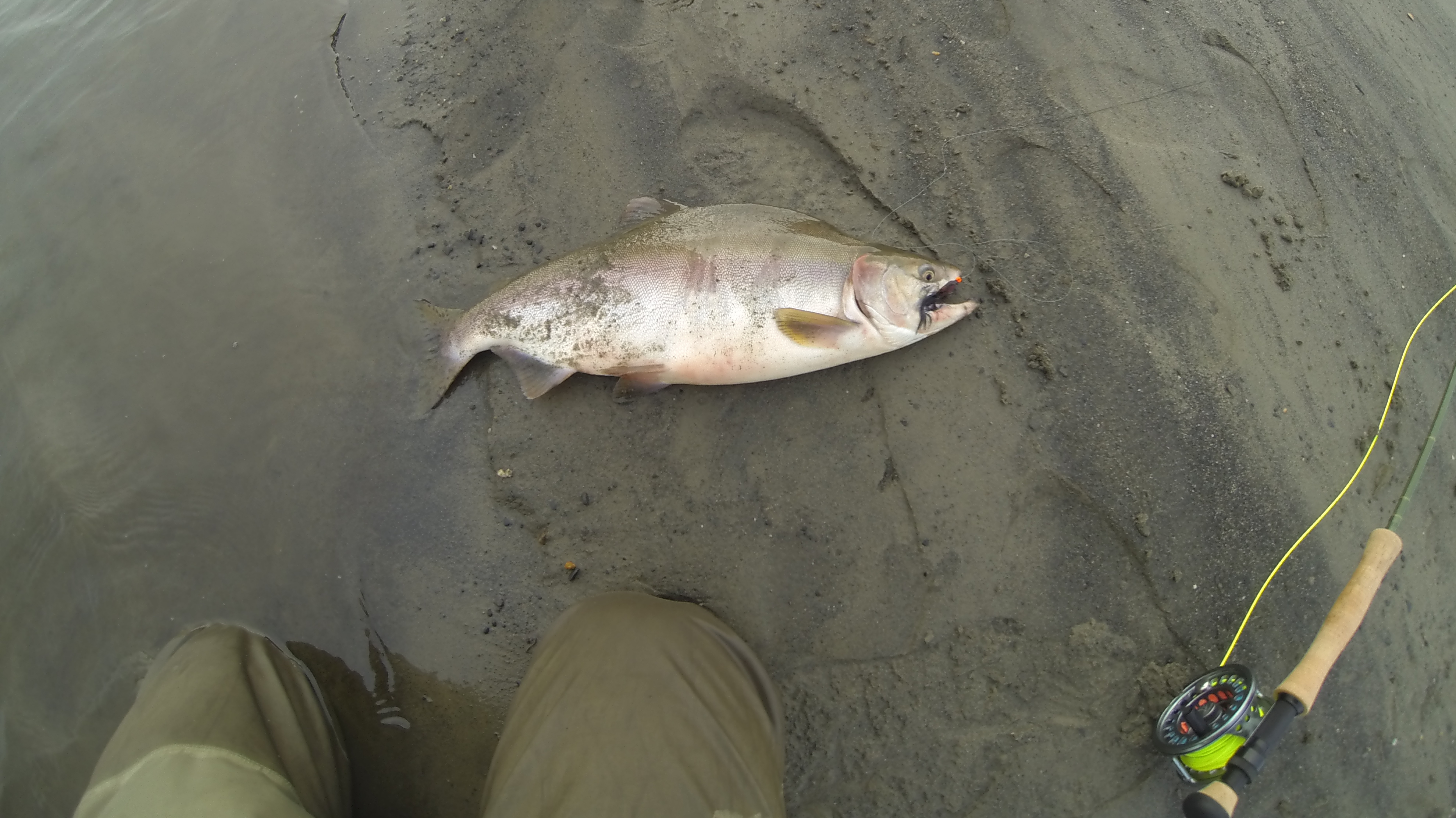 Югорский полуостров . Река Талатояха