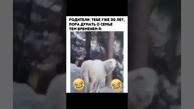 Пора думать о себе