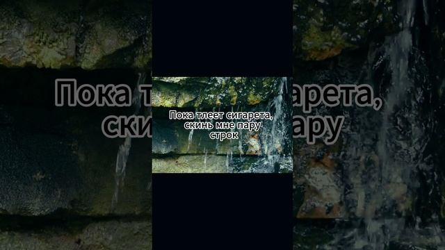 serofit воздух