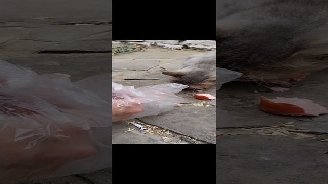 1000022424.mp4