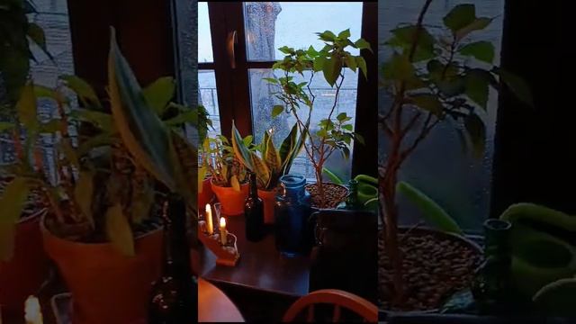 1000018287.mp4