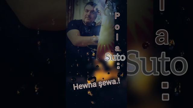Suto Polat.. - Hewna shewa