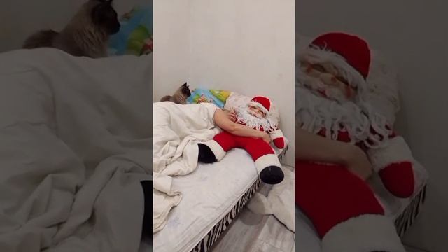подарочек угадал дедуля? 🎅