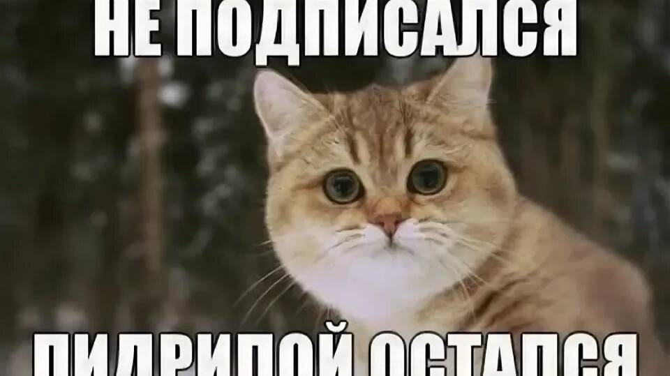 Поезд Деда Мороза