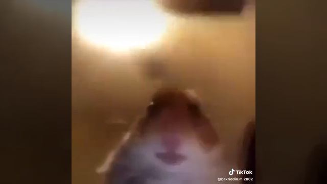 1000024761.mp4