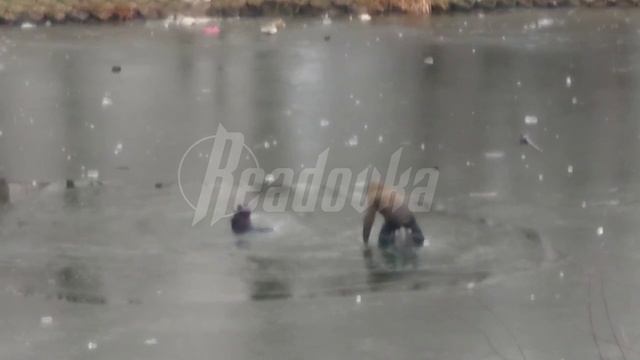 В Москве 2 мужчин попытались срезать путь через Кошачий пруд, но провалились под лед — один погиб