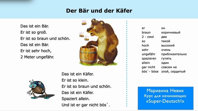 Bär und Käfer - KinderLieder