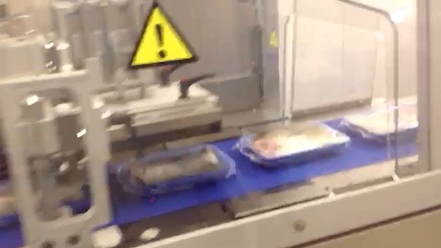 Флоупак ULMA FM 200 BF c термотоннелем CRYOVAC