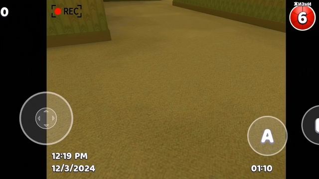 vidma_recorder_03122024_121554.mp4