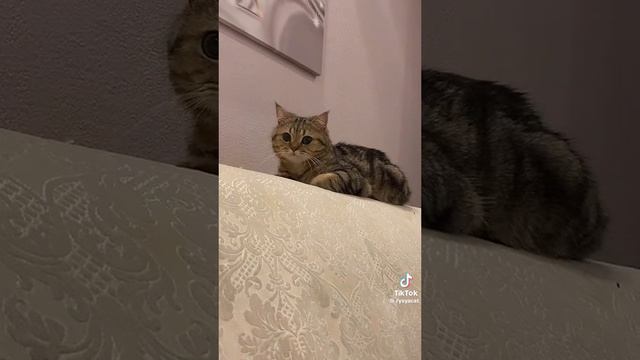 и за последствия я не отвечаю 😁