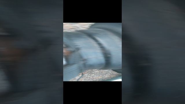 VID_20241203_162046.mp4