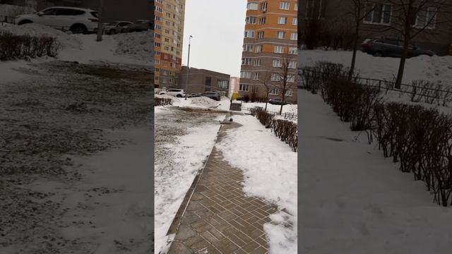 Встреча с друзьями