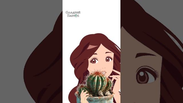 Что такое "Сладкий Кактус"!!!