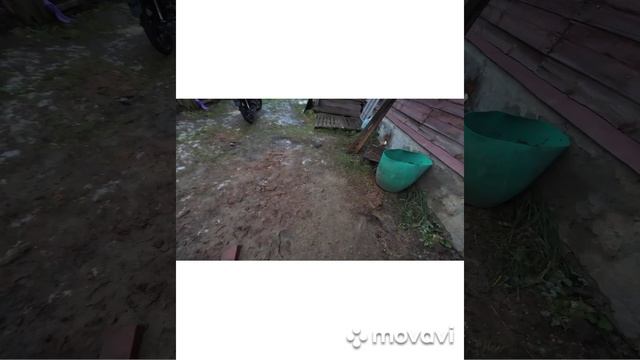 заборный столб типа тисэ