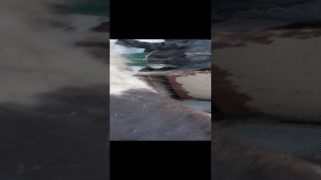 1000010829.mp4 вот подарк