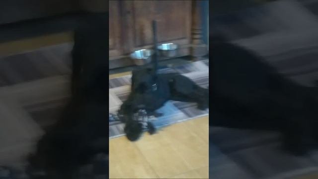 1000047790.mp4