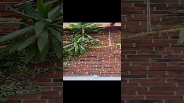 Вот такая красота!