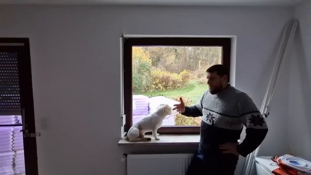 6️⃣7️⃣✔️ ДОМ ВОЗЛЕ ЛЕСА / ТЕПЛЫЙ ДЕНЬ ДЛЯ РАБОТЫ : УБОРКА УЧАСТКА / УТЕПЛЕНИЕ ОКНА / #домвгермании