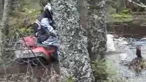 suzuki king quad