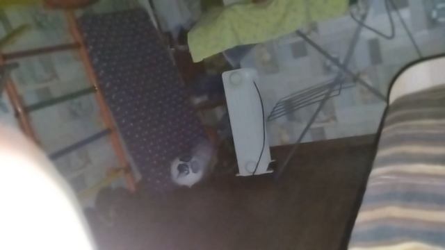 завтра снимаем после школы видео