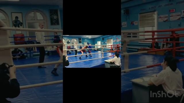 Казань бокс