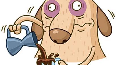 ТИКТОК КУПИЛ ХОРРОР _ ПОДБОРКА МЕМОВ