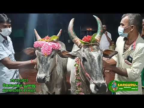 SARGURU TV 14/11/21 KOMADHA POOJA கோமாதா பூஜை