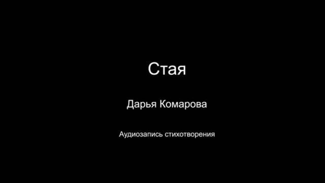 Стихотворение " Стая ". Читает автор Дарья Комарова. Написано в 2022 году.