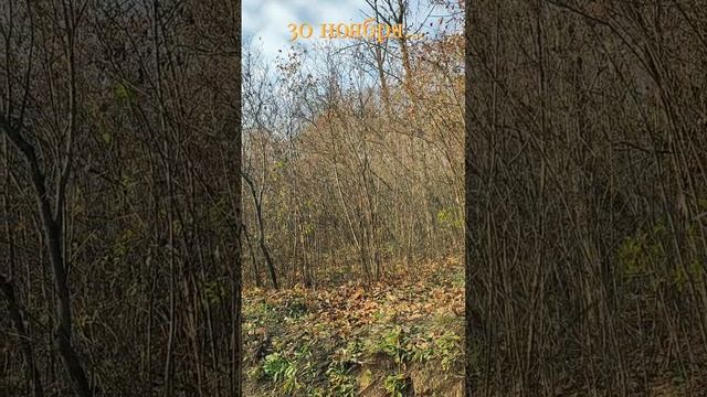 1000066748.mp4