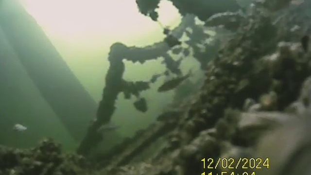 1000034343.mp4Волга гл.4м.03.12.2024г.