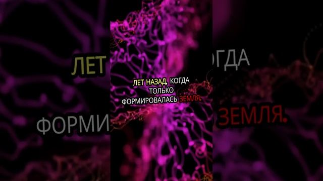 Топ 3 факта