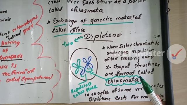 Meiosis 1 | Plus One Biology Lecture for NEET 2021 | Malayalam | Neet Master Cell cycle and Divisio
