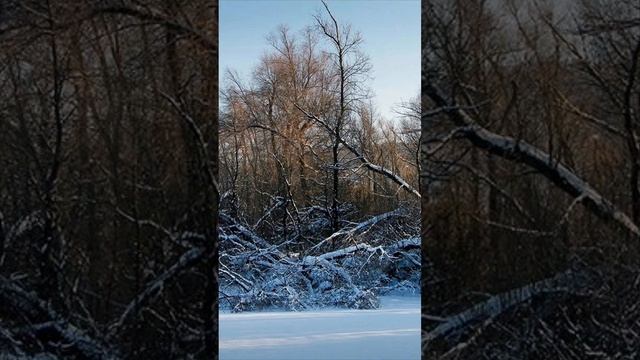 Вся наша жизнь — одно мгновенье, успеть бы сделать все дела, а мы ещё находим время для хамства...