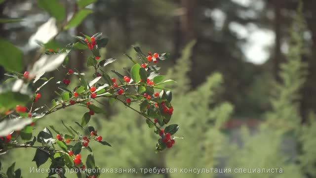 Амбулаторное лечение, реабилитация и отдых на свежем воздухе в центре "Карповка"