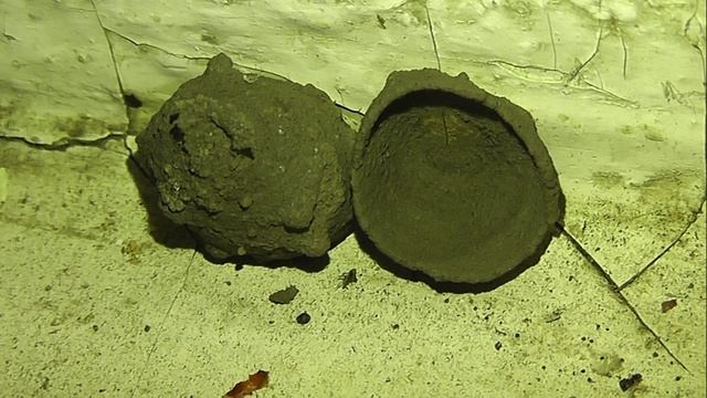 Кувшин эвмена