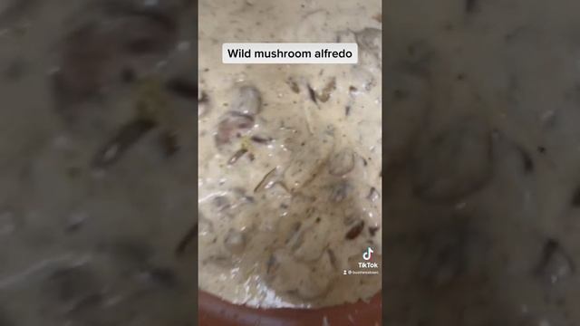 That time I made wild mushroom basil alfredo!
