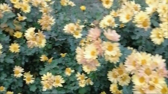 Всем привет из Анапы