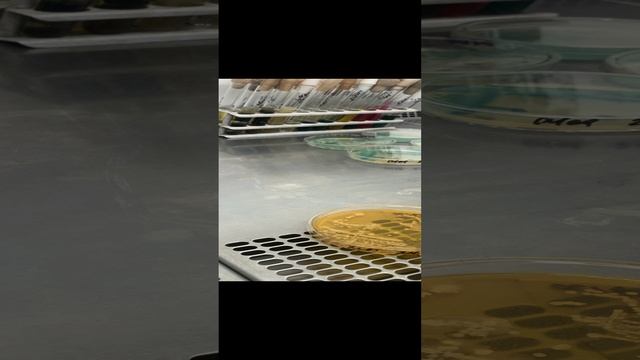 Икра исследования 4