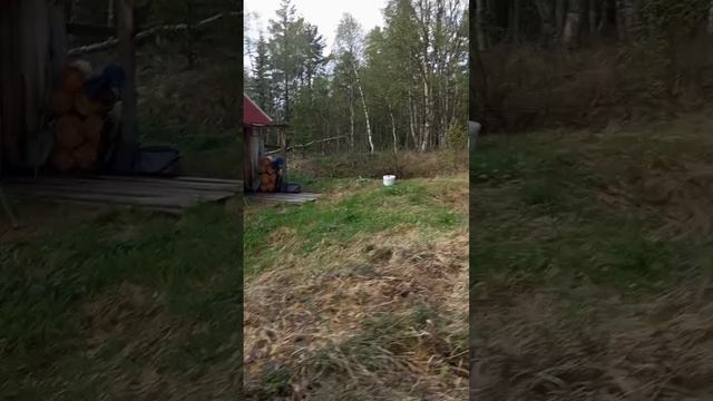 1000015916.mp4