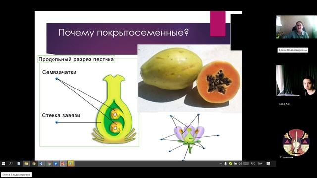 7 класс_3.12_11_Классификация покрытосеменных