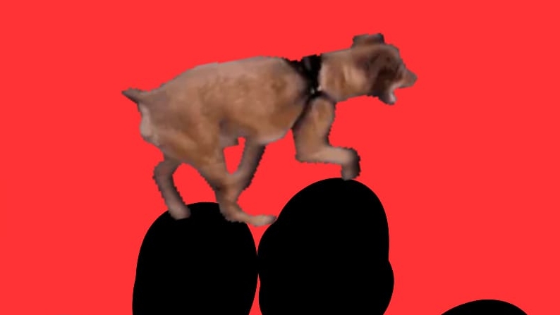 как одоптировать щенка 🐶