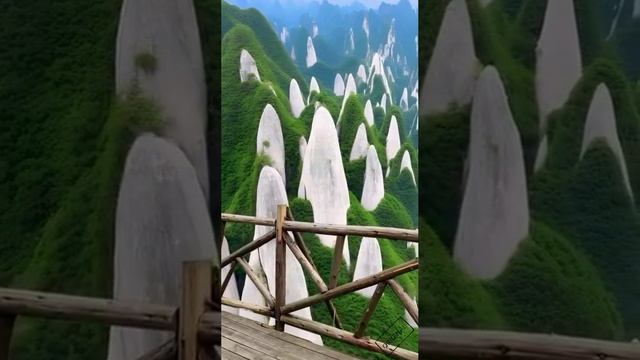 🗿Каменный лес в Китае.