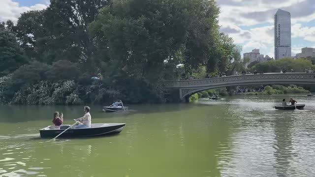 Прогулка по Нью-Йорку: Идеальный солнечный день в Центральном парке, Нью-Йорк