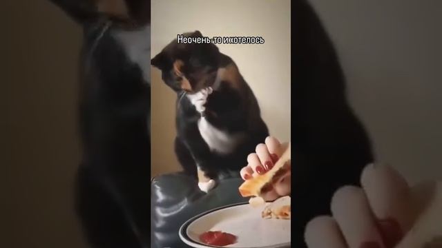 не очень-то и хотелось