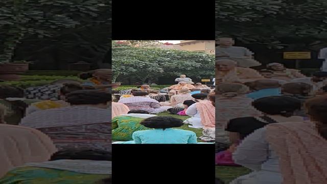 Madhava kirtan in Vrindavan MVT #kirtan #vrindavan #mvt